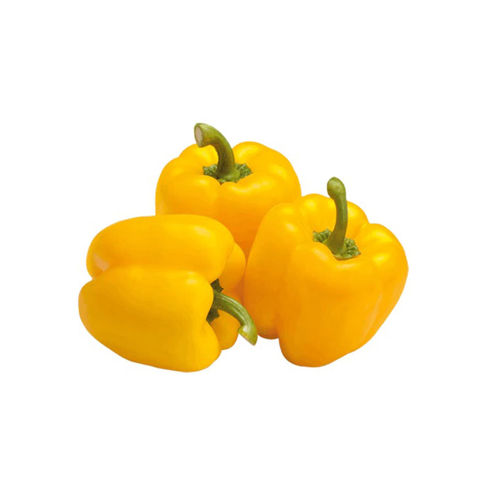 Capsicum yellow certified organic kg