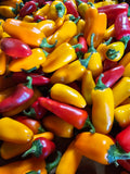 Capsicum mini mixed certified organic per kg