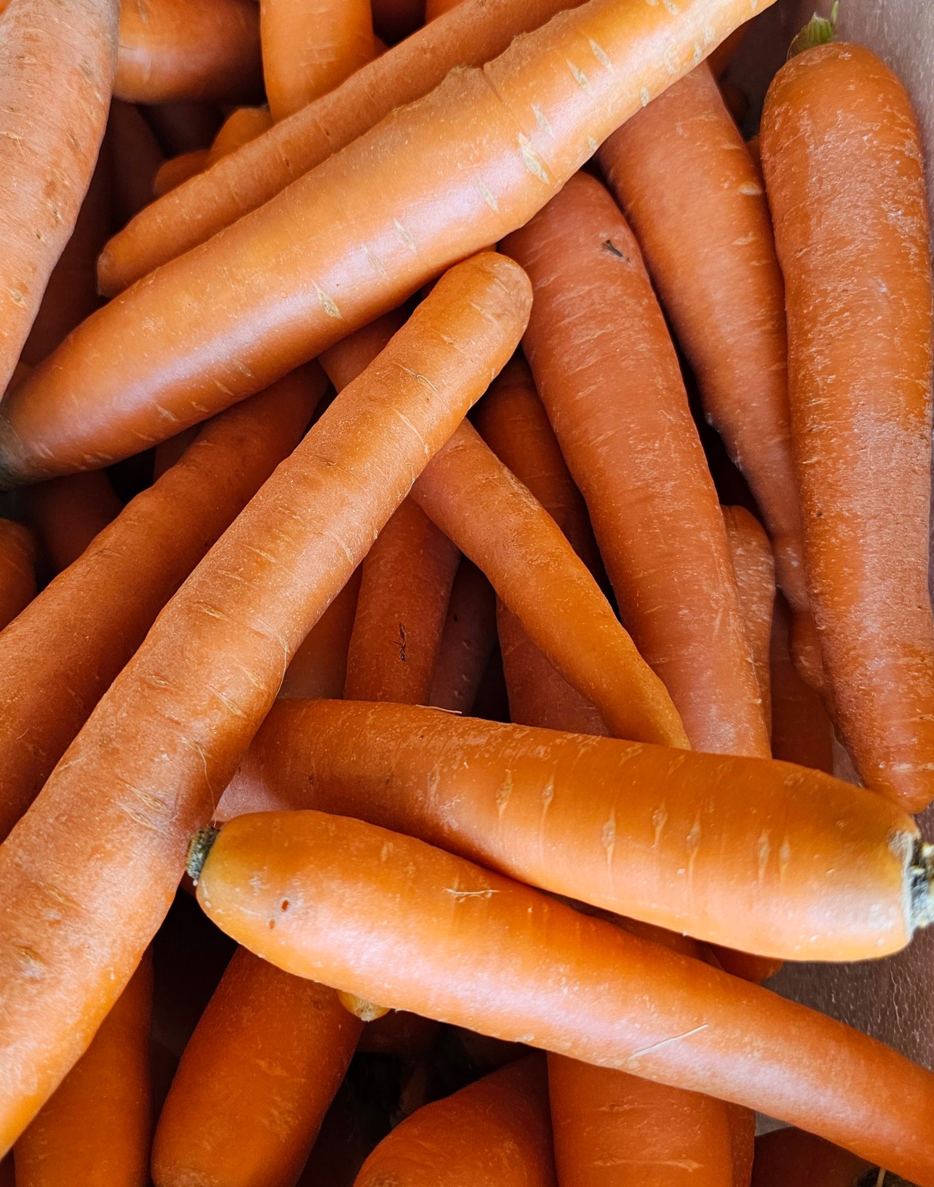 Carrots medium certified organic kg