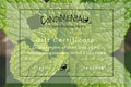 Gift Card Condimental Organic Produce Pantry