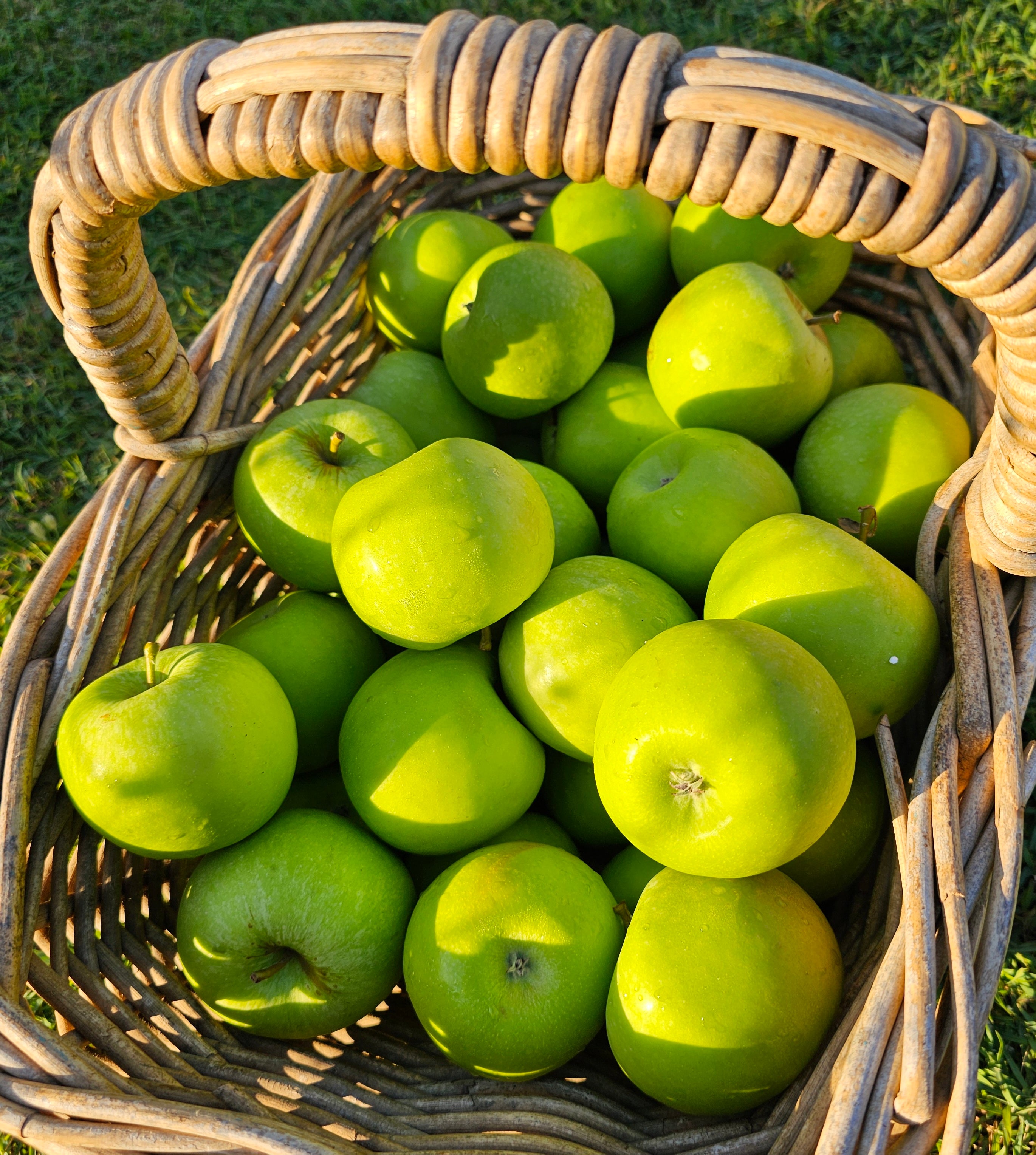 Apples granny Smith certified organic kg