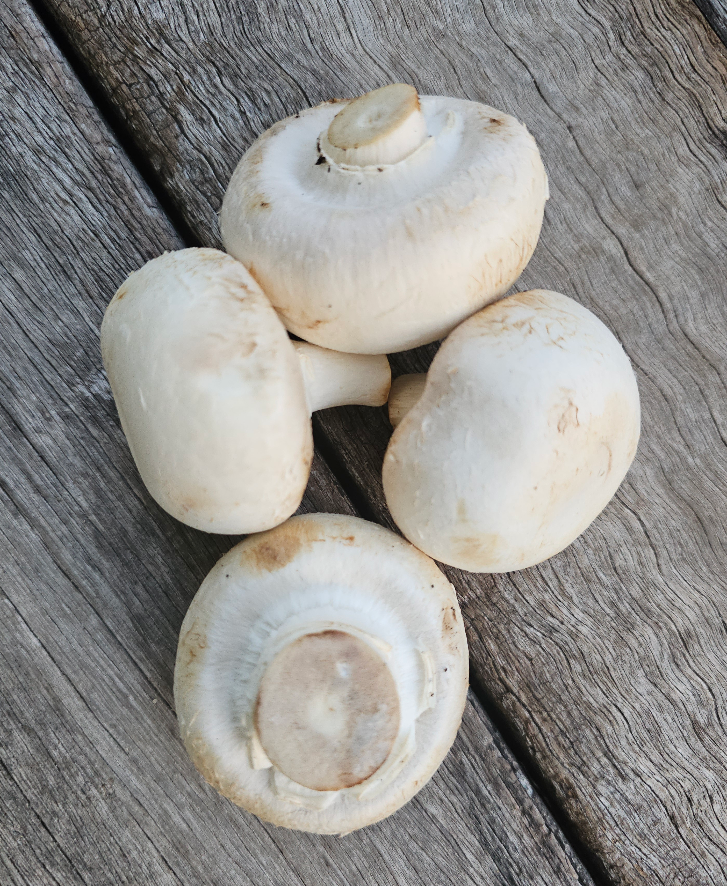 Mushrooms white button certified organic per kg