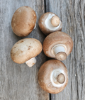 Mushrooms Crimini (brown) certified organic per kg