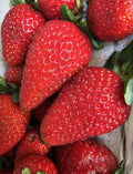 Strawberries certified organic 250g Great Price -Limited get in quick!!