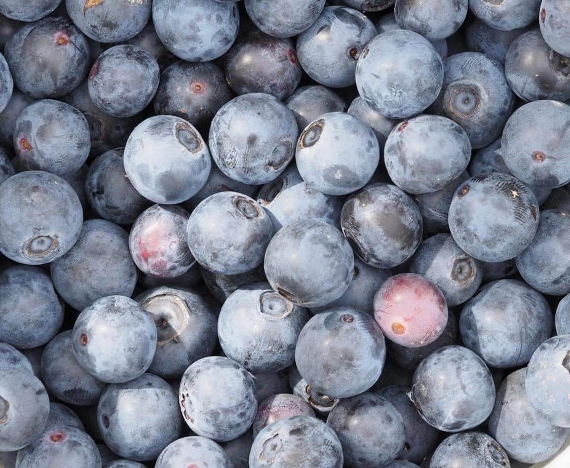Blueberries Certified Organic 125g