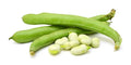 Broad Beans green certified organic