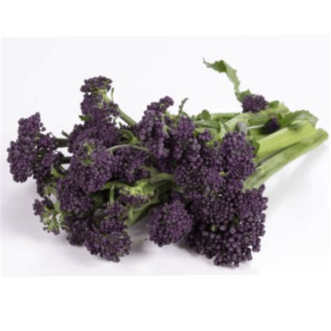 Broccolini certified organic purple per bunch
