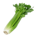 Celery certified organic per bunch