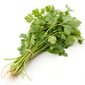 Coriander - Certified Organic bunch