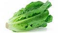 Lettuce cos certified organic each