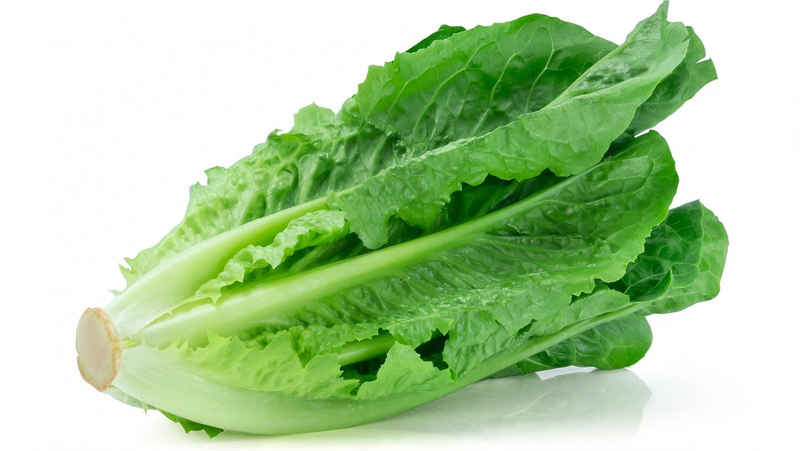 Lettuce cos certified organic each