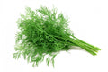 Dill certified organic - per bunch