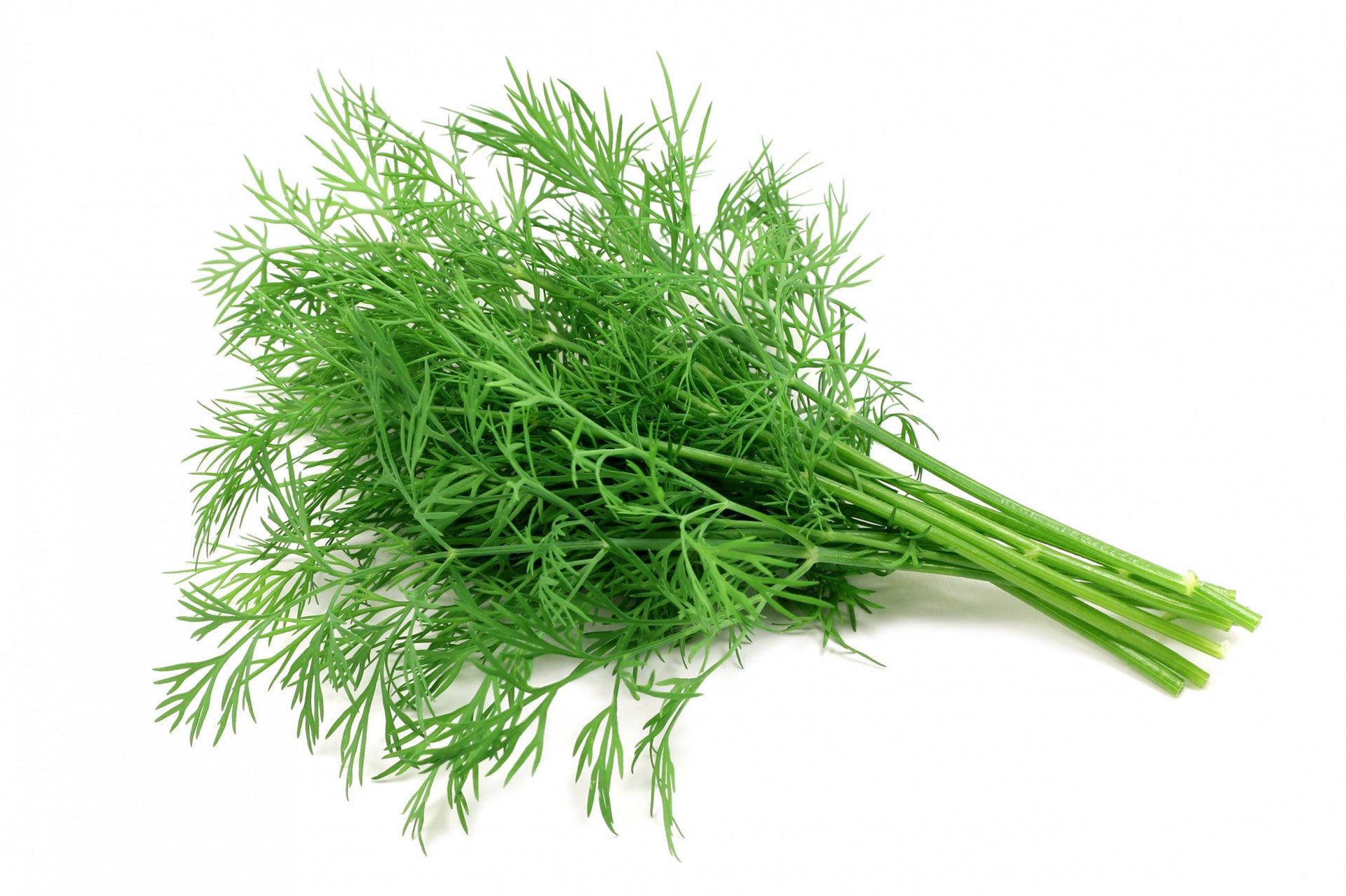 Dill certified organic - per bunch
