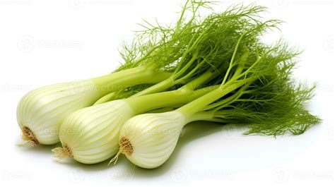 Fennel certified organic each