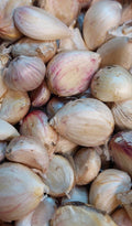 Garlic certified organic kg - Currently Unavailable