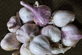 Garlic certified organic Yay🙌 small but punchy early harvest