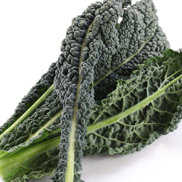 Kale cavolo nero certified organic bunch