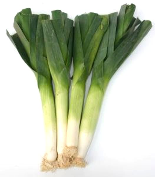 Leek certified organic each