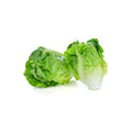 Lettuce mini cos certified organic each  LIMITED
