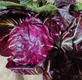 Radicchio certified organic each