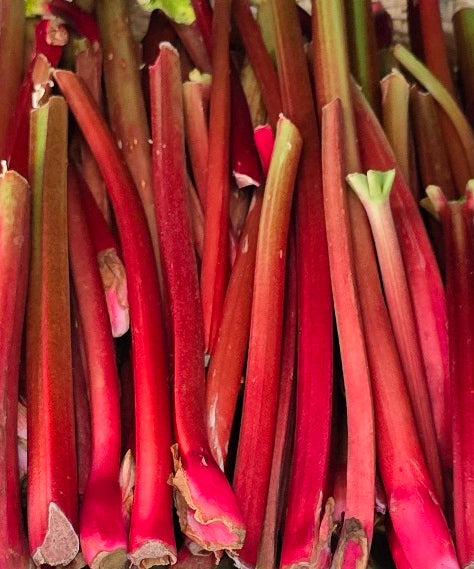 Rhubarb certified organic per bunch