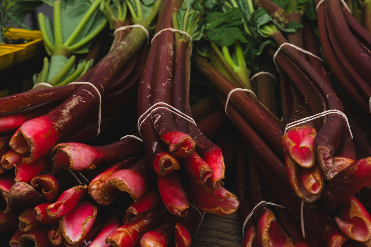 Rhubarb certified organic bunch