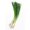 Spring onions certified organic $3 bunch